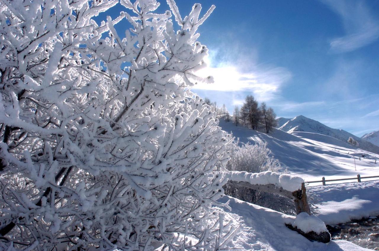Alexander Charme Hotel Livigno Dış mekan fotoğraf